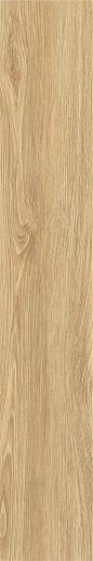Porcelain ZC 1223098 rect. 20x120 - фото 1