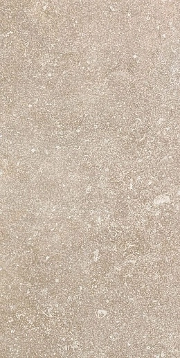 Atmospheres de Rex Aurore Pat Smooth 40x80 - фото 1