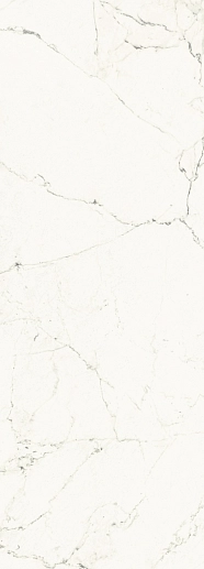 Grand Tour Bianco Versilia Rett. 42.5x119.2 - фото 1