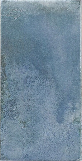 Riviera Bleu 15x30 - фото 1