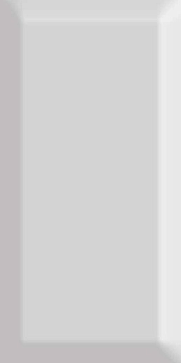 Monocolor Biselado Brillo Gris 7.5x15 - фото 1