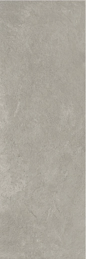 Reine Grey 30x90 - фото 1