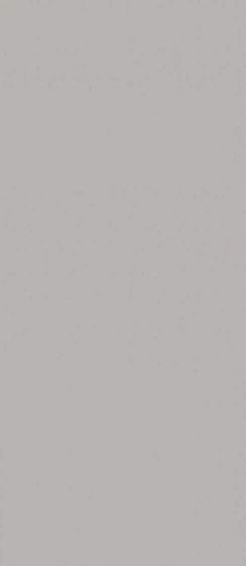 Concept WAAMB110 20x40 - фото 1