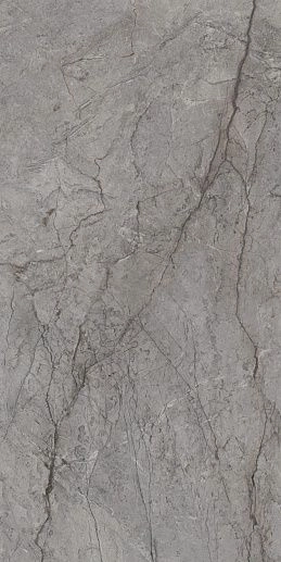 Visioner Grey Pol. 60x120 - фото 1