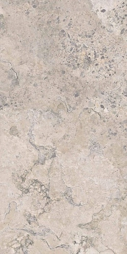 Pietra Viva Ivory Ant. Rett. 60x120 - фото 1