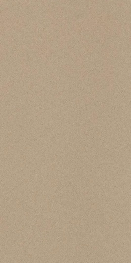 Icon Beige 12 60x120 - фото 1