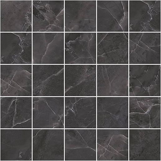 Olimpus Черный М 25x25 - фото 1