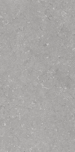Shellstone Grigio 60x120 - фото 1