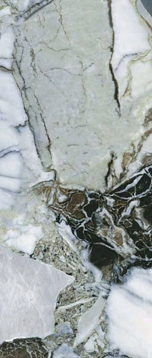 CityMarble Амазония Мультиколор 60x120 - фото 1