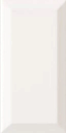 Plus Bissel Blanco Mate 10x20 - фото 1