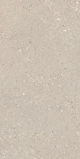 Grain Stone Rough Grain Sand Nat.60x120 - фото 1