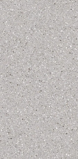 Terrazzone Ash Honed 60x120 - фото 1