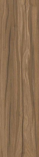 Kalahari Кокосовый 15x60 - фото 1