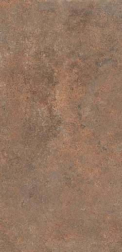 Tavellone Vecchia Firenze In 15.3x31 - фото 1