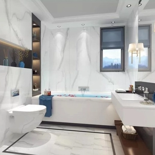Sina Tile Porcelain Tile 6