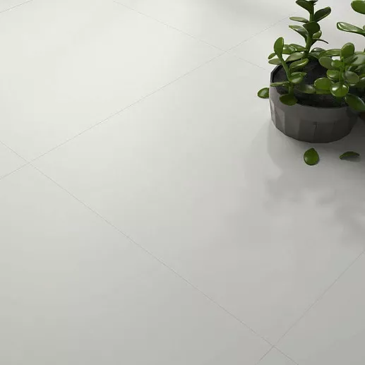 Zyx Evoke 2