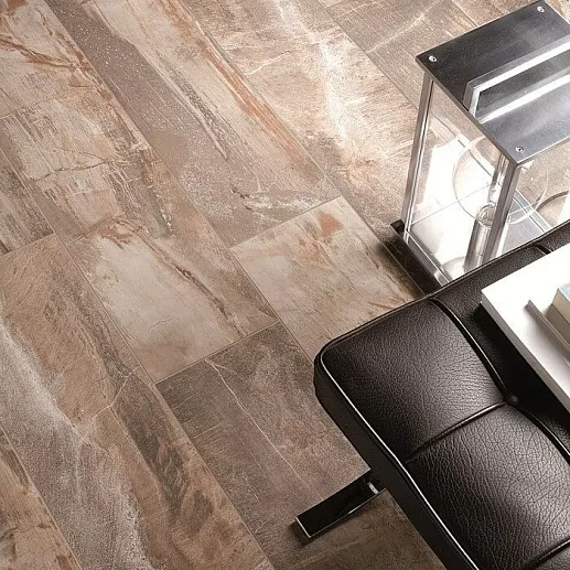 ABK Fossil 6