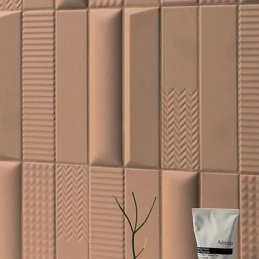41zero42 Biscuit 5