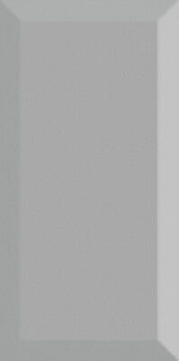 Monocolor Biselado Brillo Plata 10x20 - фото 1