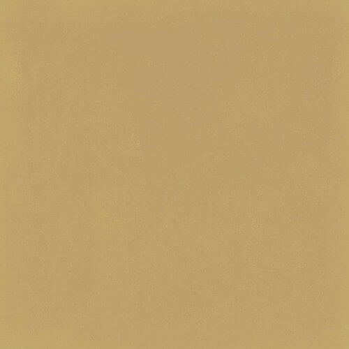 D_Segni Colore Mustard 20x20 - фото 1