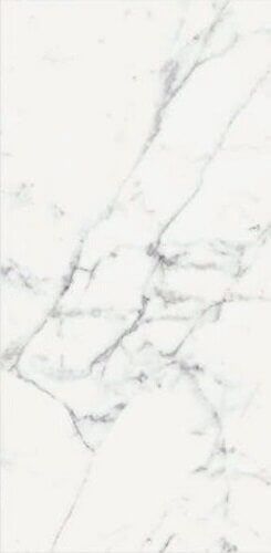 Les Origines de Rex Blanc Matte Rett 60x120 - фото 1