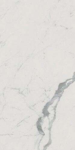 Roma Gold Gres Porcellanato Carrara Superiore Brill 60x120 RT - фото 1