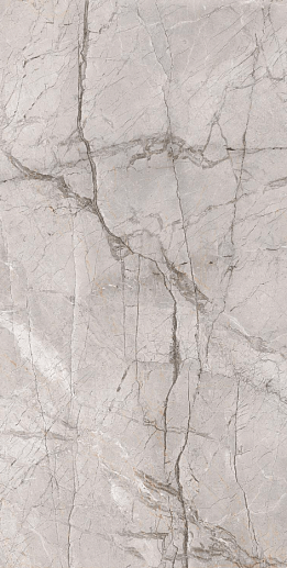 Premium Marble Dragon Grey Silk 60x120 - фото 1
