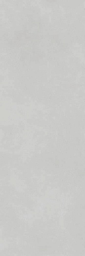 Re-evolution Src010 100x300 - фото 1