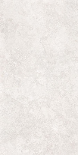 Premiere Pearl Matt. 60x120 - фото 1