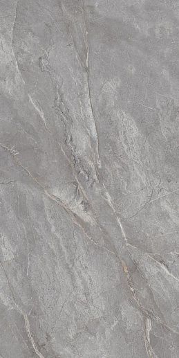 Belvedere Orobico Grey Polished 60x120 - фото 1