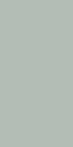 Anni 70 Fondo Verde Rett 60x120 - фото 1