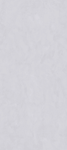 Coating Concept Mist Matt 120x280 - фото 1
