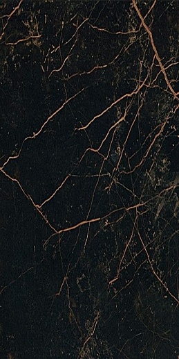 Marble Nero S.Lau Lap 58.5x117.5 - фото 1