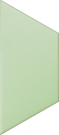 Trapez Mint (TRA1680) 10x23 - фото 1