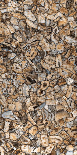 Agata Atena 150x300 - фото 1