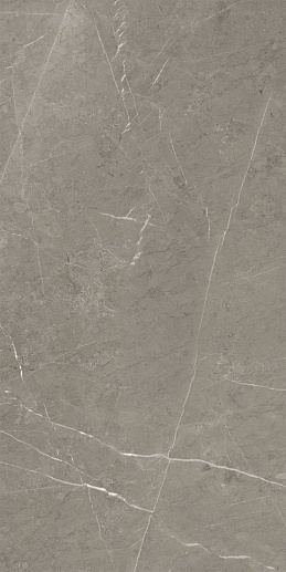 Skala Grey K-2202/LR/600x1200x11 - фото 1