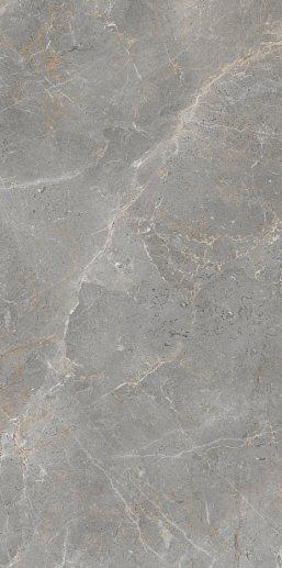Augustus Grey Natural rect 60x120 - фото 1