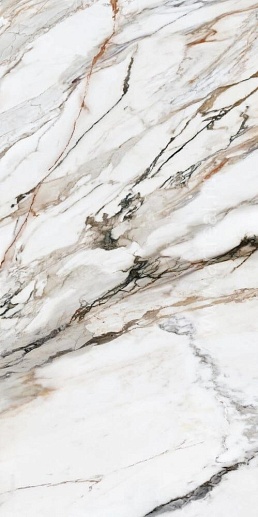 Calacatta Paonazzo Polished 60x120 - фото 1