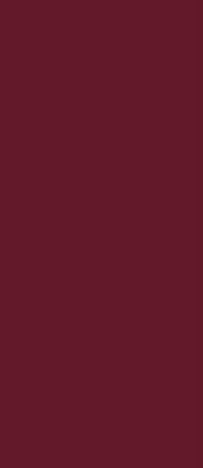 Art Deco Vector Frame C Burgundy 12.5x25 - фото 1