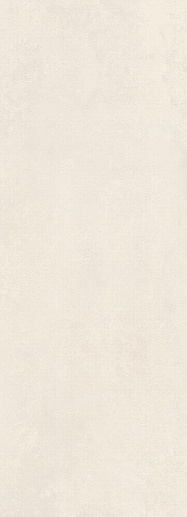 Fancy White Rec.29.5x90.1 - фото 1