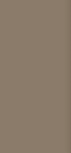 Art Deco Vector Frame C Deep Chestnut 12.5x25 - фото 1