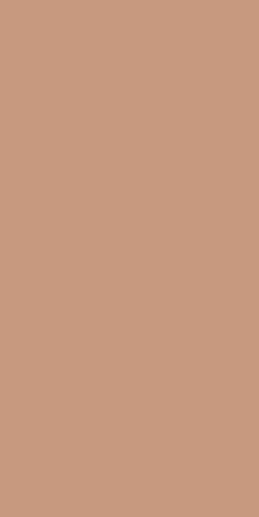 Four Seasons Terracotta Matt Rect 59.8x119.8 - фото 1