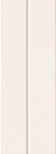 Timeless White Str 32.8x89.8 - фото 1