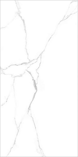 Pride Белый 30x60 - фото 1