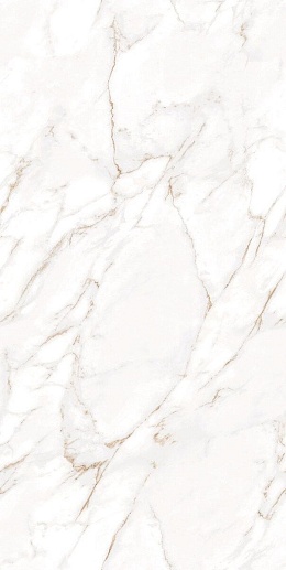 60x120 Infinity Statuario Wox Gold - фото 1
