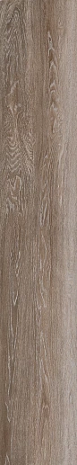 Legno 2012T RM 20x120 - фото 1