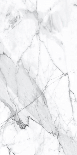 Premium Marble Visage Grey Plus Pol. 60x120 - фото 1