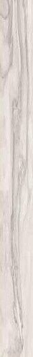 Epic White Ret 10x100 - фото 1