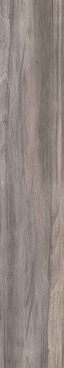 Dolphin Grey Rett. 20x120 - фото 1