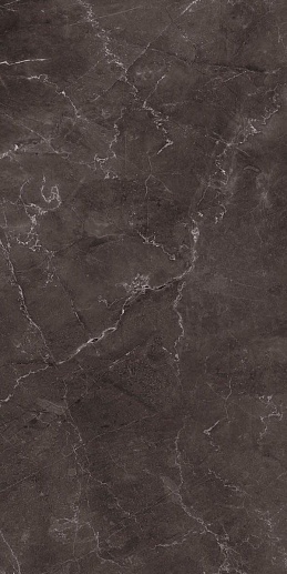 Vitrum Dark Grey Полированный 60x120 - фото 1